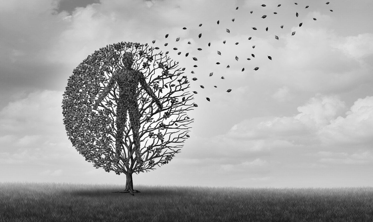 How Sirtuins And NAD+ Promotes Longevity