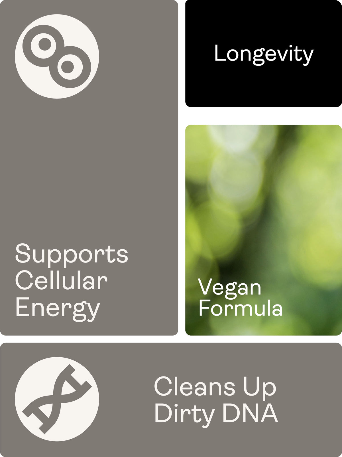 Calcium Alpha Keto-Glutarate (AKG) 500mg x 60 Capsules - youthandearth - Calcium Alpha Keto-Gluterate