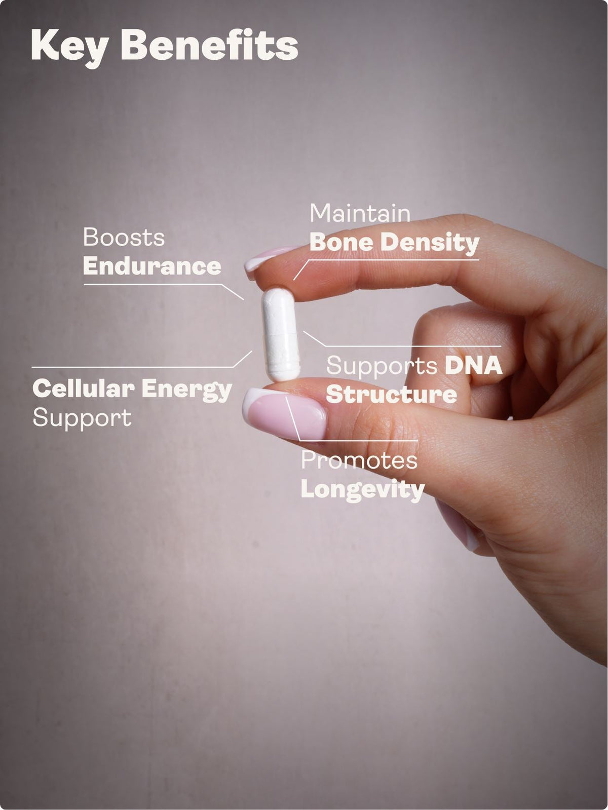 Calcium Alpha Keto-Glutarate (AKG) 500mg x 60 Capsules - youthandearth - Calcium Alpha Keto-Gluterate