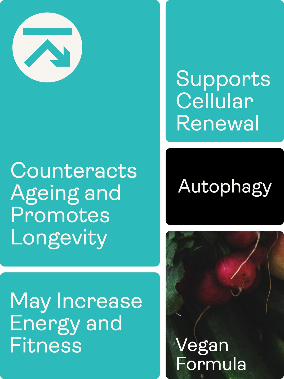 Liposomal Spermidine 5.49mg - 60 Capsules - youthandearth -