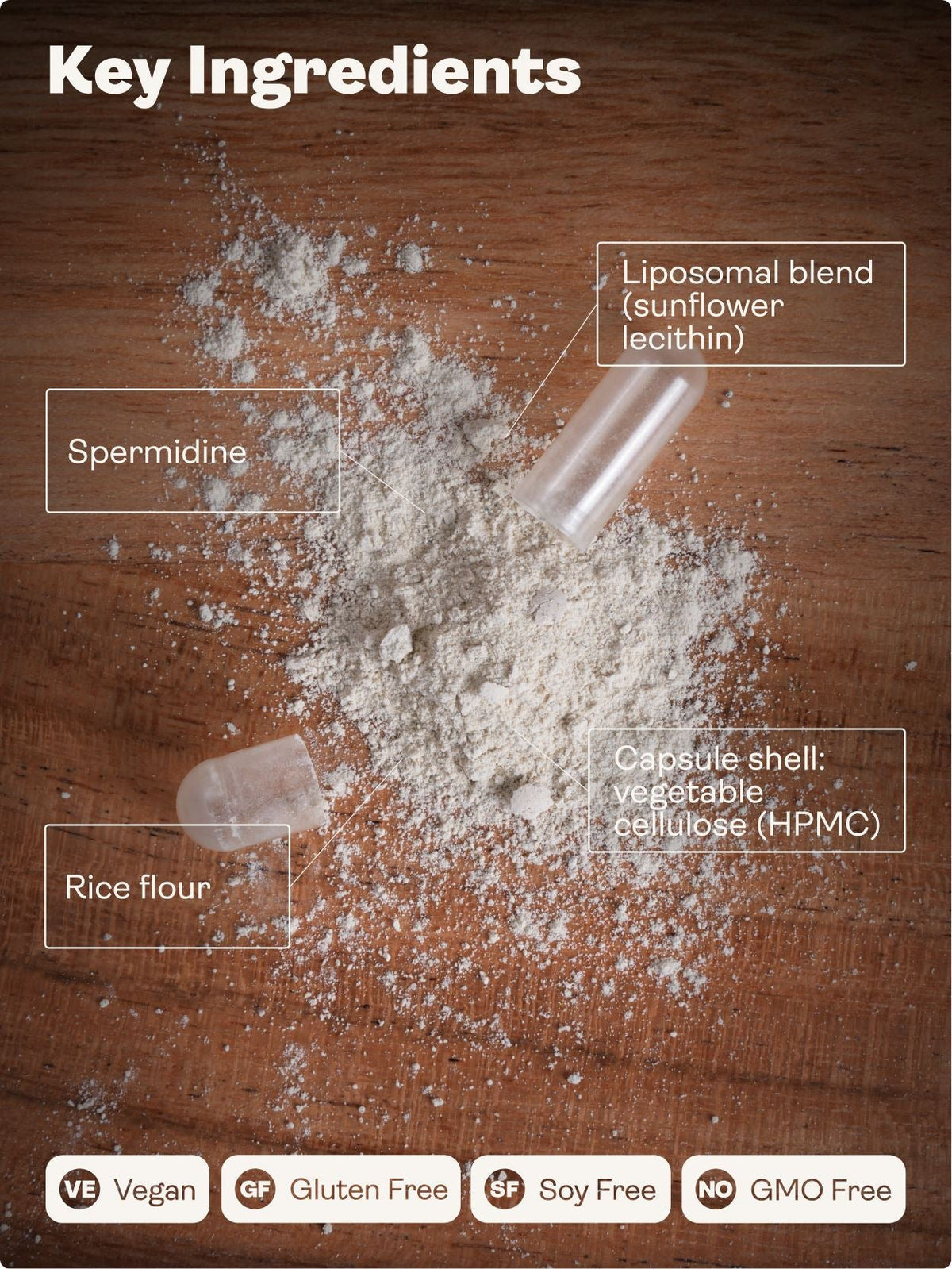 Liposomal Spermidine 5.49mg - 60 Capsules - youthandearth -