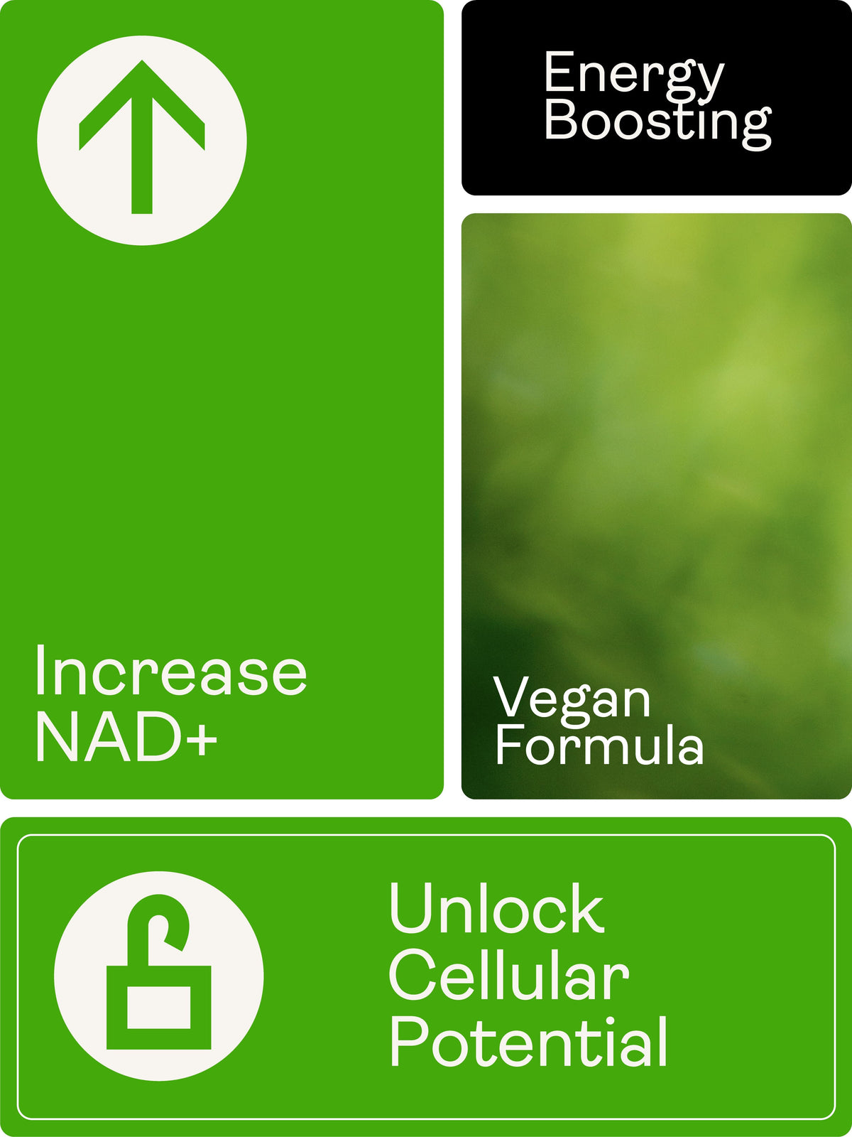 NMN Nicotinamide Mononucleotide Sublingual Powder - youthandearth -