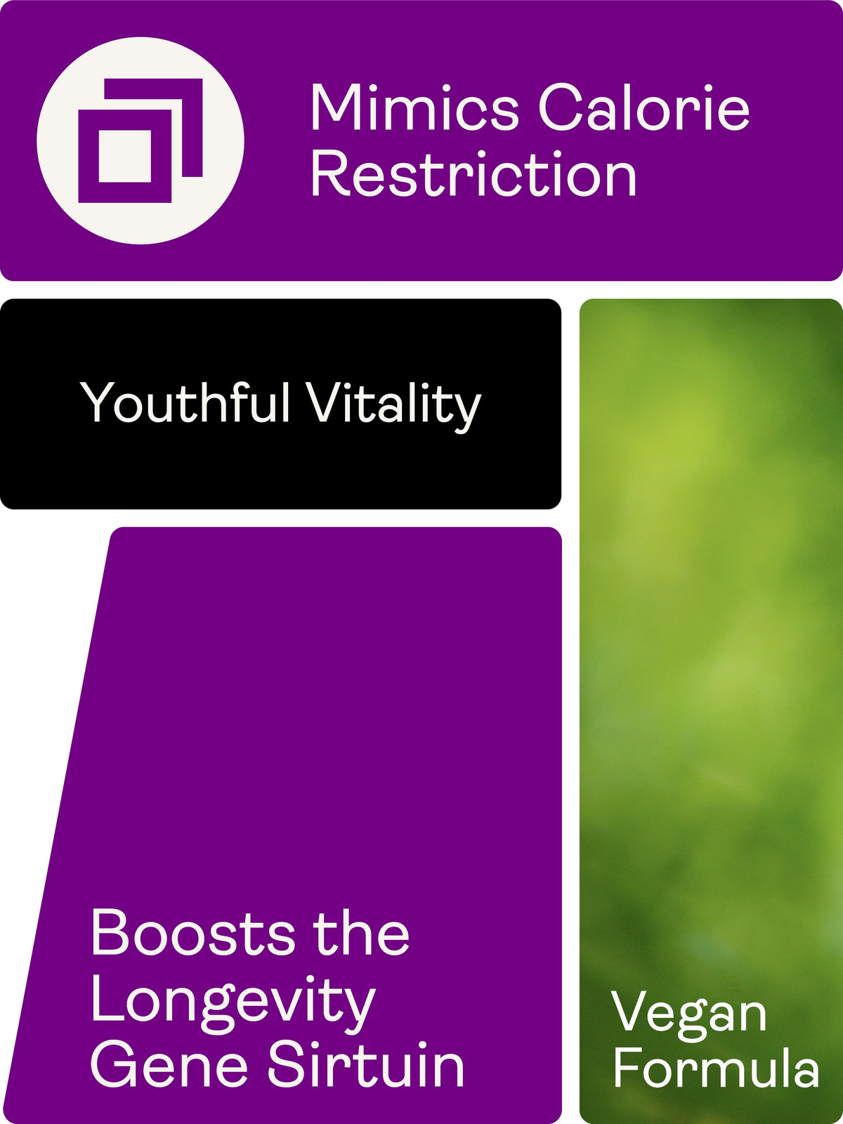 Preservage (Trans-Resveratrol, Curcumin, Quercetin, BioPerine) – 410mg, 60 Capsules - youthandearth - Sirtuin Activator