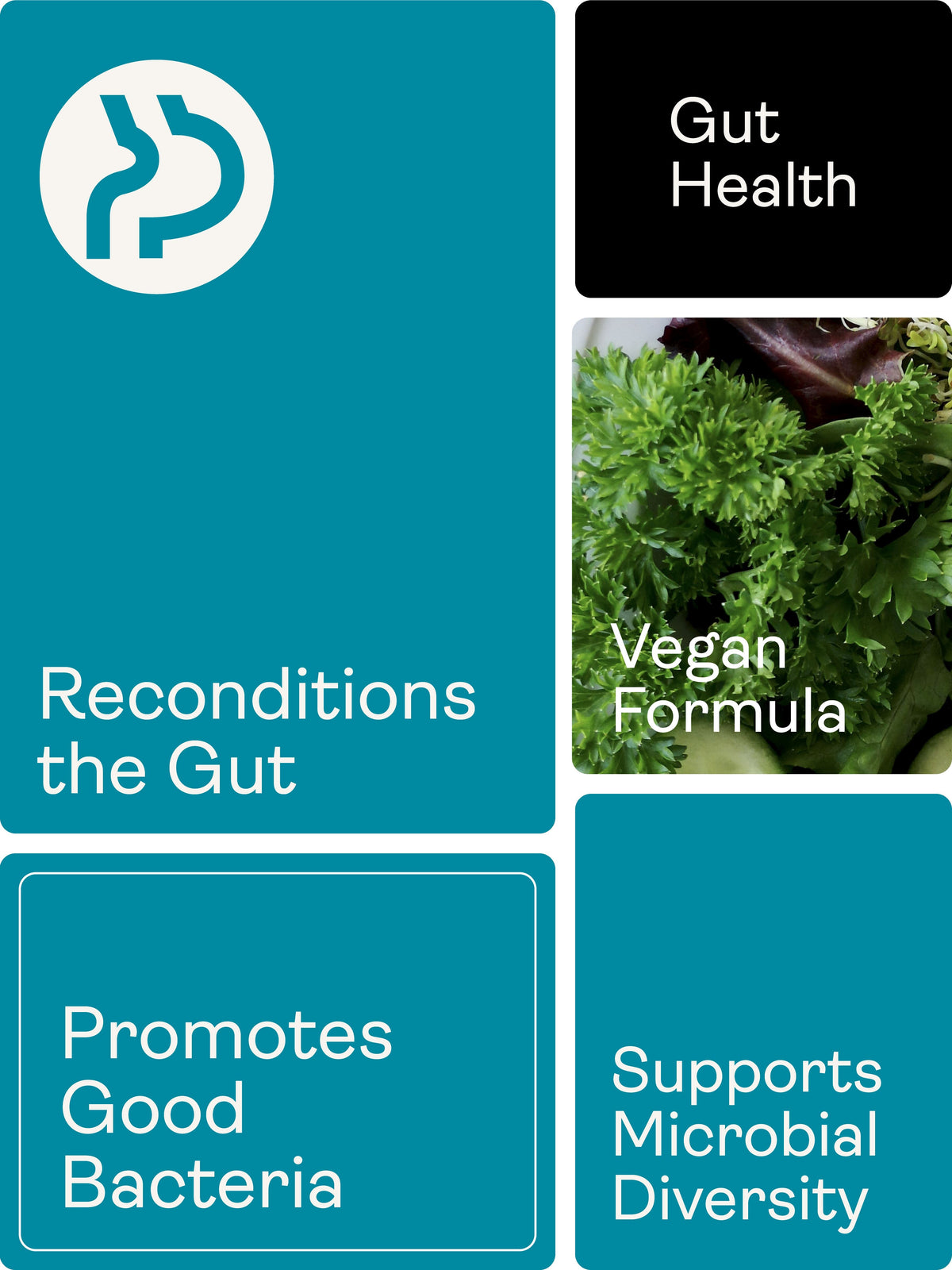 Spore Probiotic (Bacillus Subtilis HU58®, Coagulans SC208 & Clausii SC109) 4 billion CFU count - 60 Capsules - youthandearth -