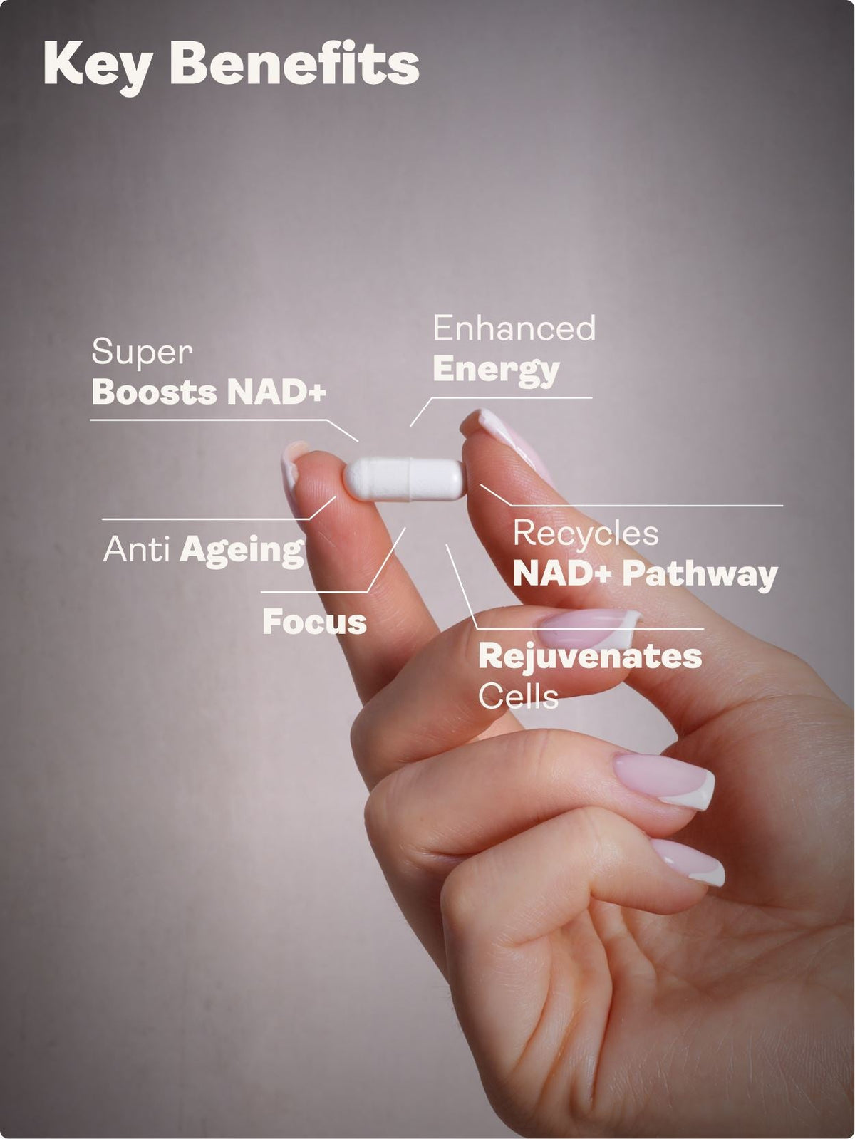 Spore Probiotic (Bacillus Subtilis HU58®, Coagulans SC208 & Clausii SC109) 4 billion CFU count - 60 Capsules - youthandearth -