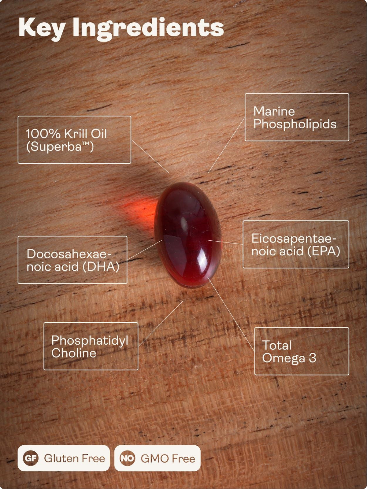 Superba ™ Krill Oil – 500mg, 60 Softgels - youthandearth - Brain Health