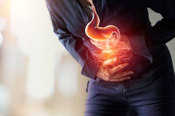 Boost Your Health with Enzymes: A Guide to Digestion & Longevity