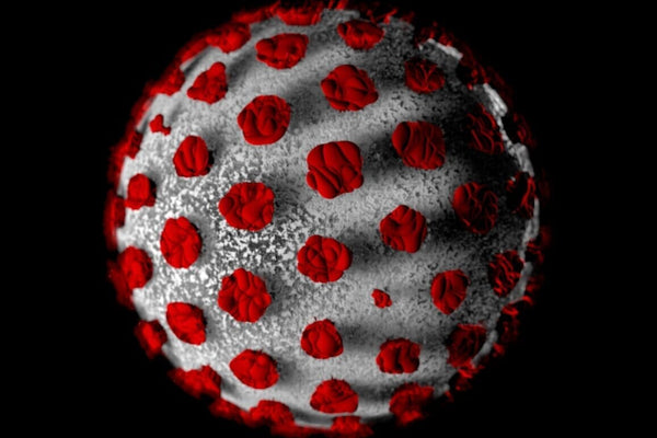COVID-19 – What You Need to Know and How to Support Your Immune System