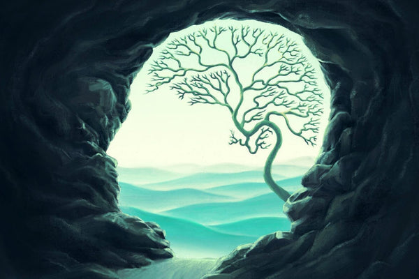 Lithium as a Supplement: Can This Trace Mineral Boost Longevity and Mental Health