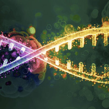Peptides, DNA Repair, and the Pursuit of Longevity: A Game-Changer for Healthspan