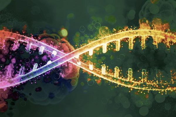 Peptides, DNA Repair, and the Pursuit of Longevity: A Game-Changer for Healthspan