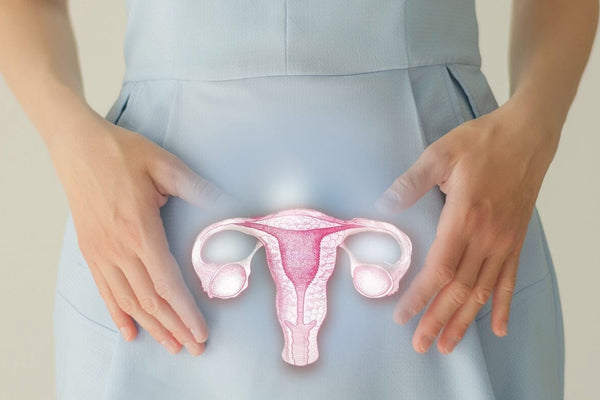 Reversing Menopause with Stem Cells: Unlocking Peak Health & Longevity
