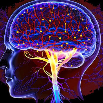 Unlocking Brain Health: How Pinealon Could Boost Your Longevity