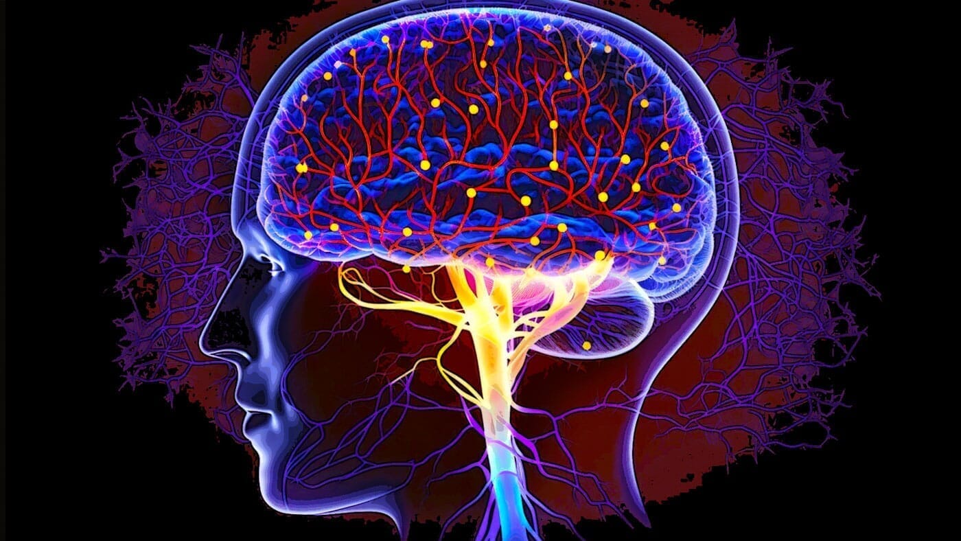 Unlocking Brain Health: How Pinealon Could Boost Your Longevity