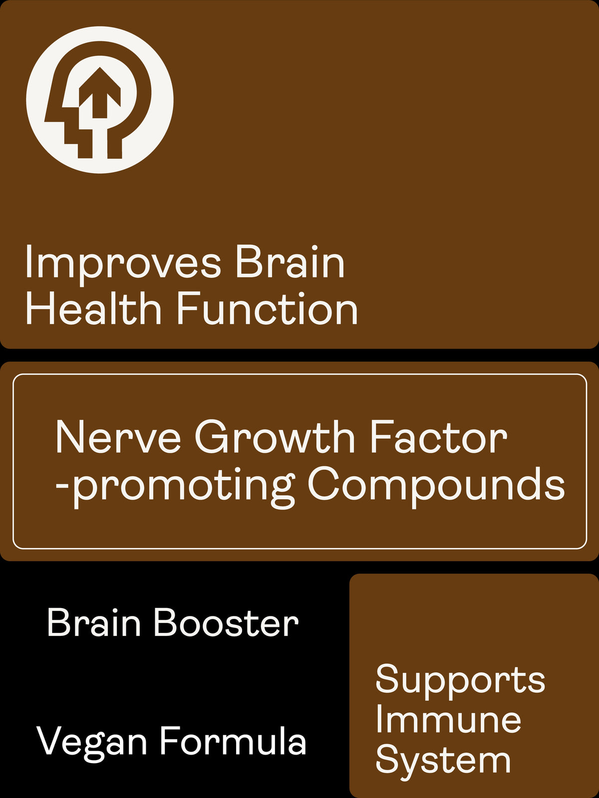 Nerve Growth Factor (Full Spectrum Lion&#39;s Mane Mushroom, Rhodiola, Ginseng, Bioperine) – 500mg, 60 Capsules - youthandearth - 