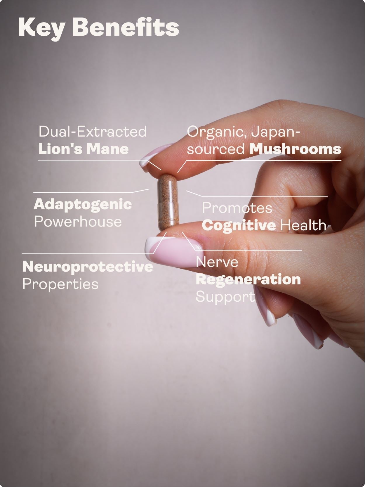 Nerve Growth Factor (Full Spectrum Lion's Mane Mushroom, Rhodiola, Ginseng, Bioperine) – 500mg, 60 Capsules - youthandearth - 